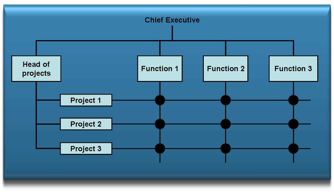 A Matrix Structure is used in Project Oriented Companies