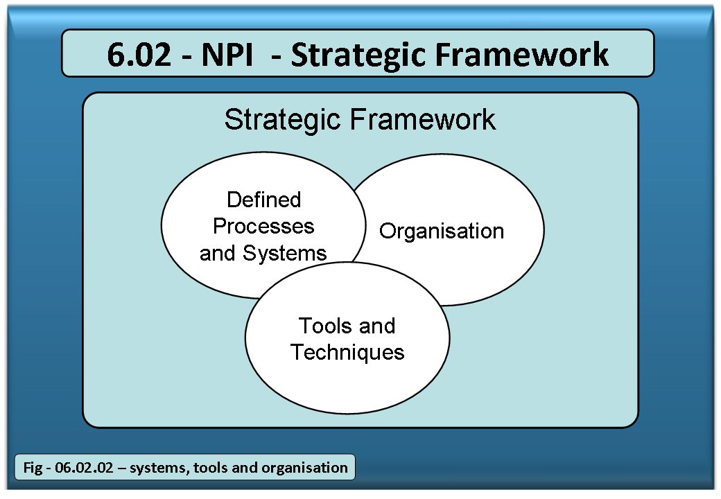 NPI Strategic Framework